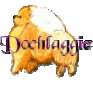 Animated Pomeranian