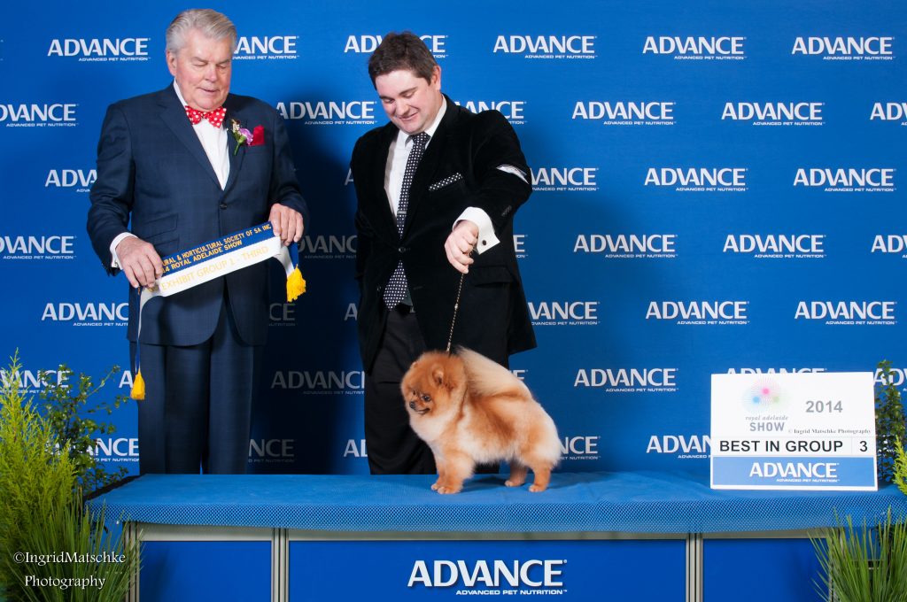Multi BISA Supreme Champion Dochlaggie Dragon Double