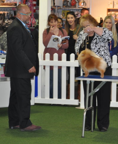 Champion Dochlaggie Double Delite winning Reserve Challenge at the Royal Melbourne Show 2015