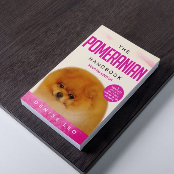 Pomeranian Puppies For Sale Melbourne Dochlaggie Pomeranian Puppies   HARDCOVERMOCKUP 585x585 