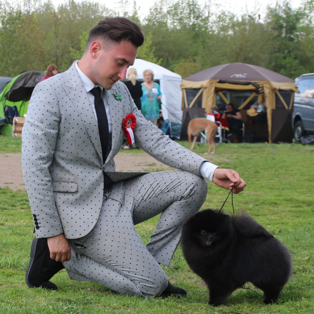 Aust Ch/Am GCH/Am CH/Blr JCH/Rus JCH Dan-Star-Kom Black King (Imported Russia via USA)