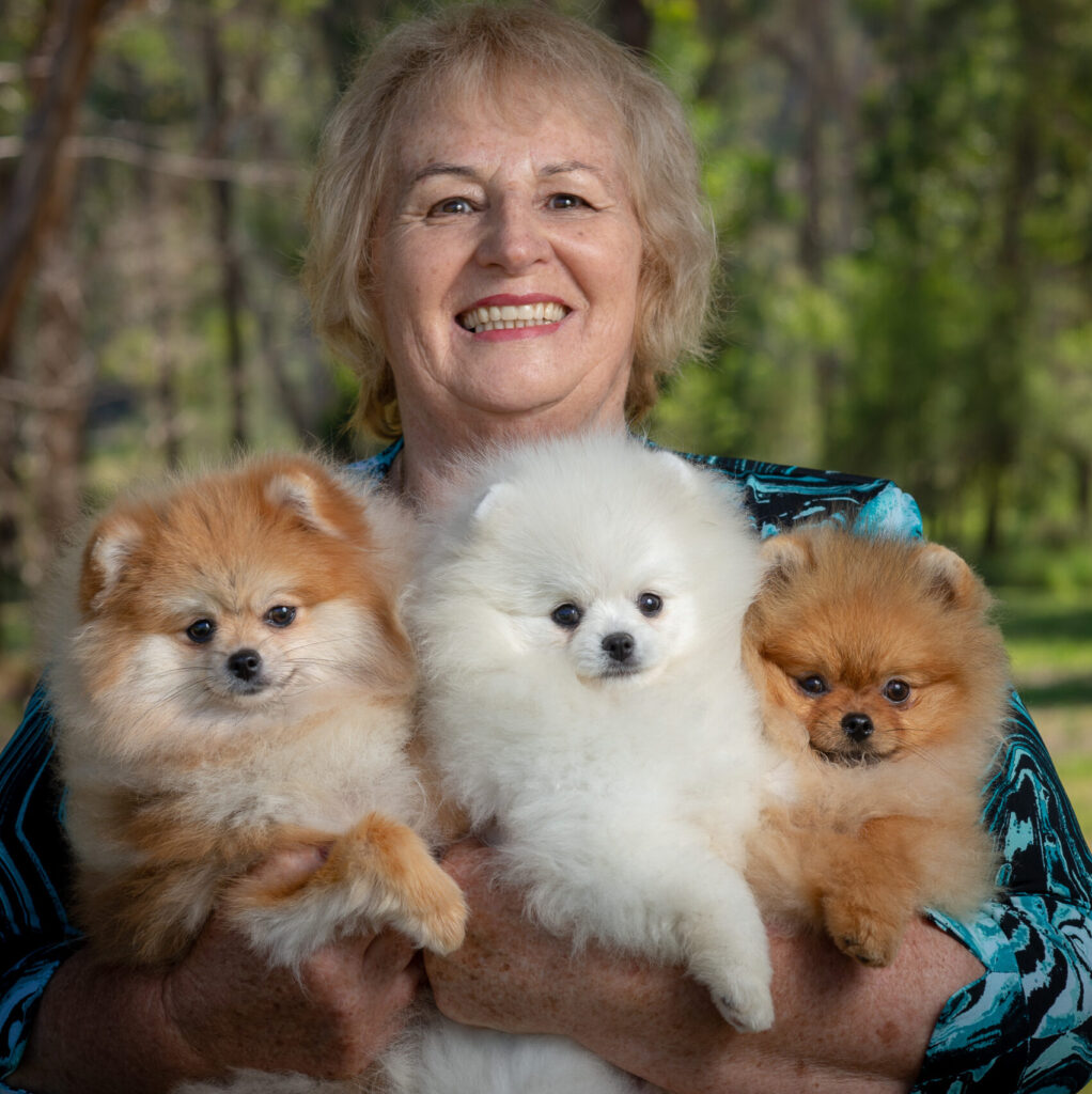 Denise Leo holding three Dochlaggie Pomeranians. A orange puppy a white puppy and another orange puppy.