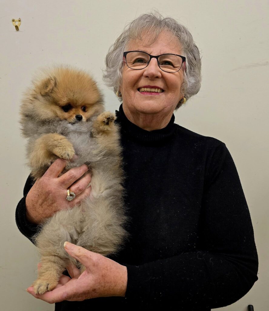 Pomeranian puppy for sale