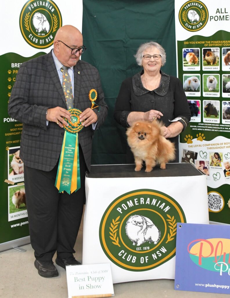 Dochlaggie Dynasty Delilah
