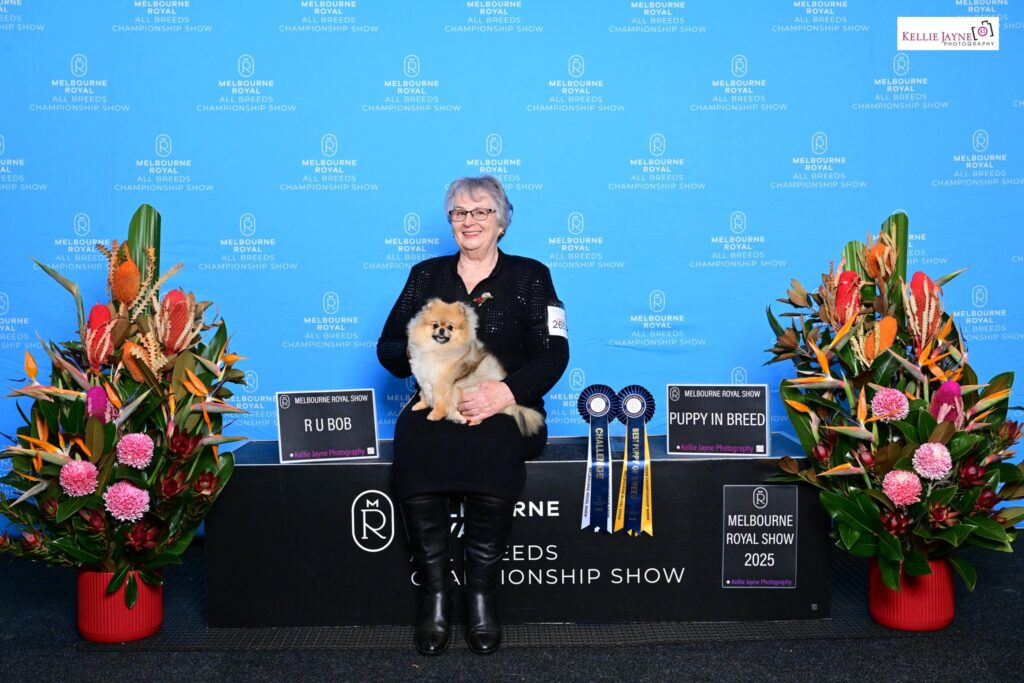 Dochlaggie Darling Dora wins at the 2025 Royal Melbourne Show.