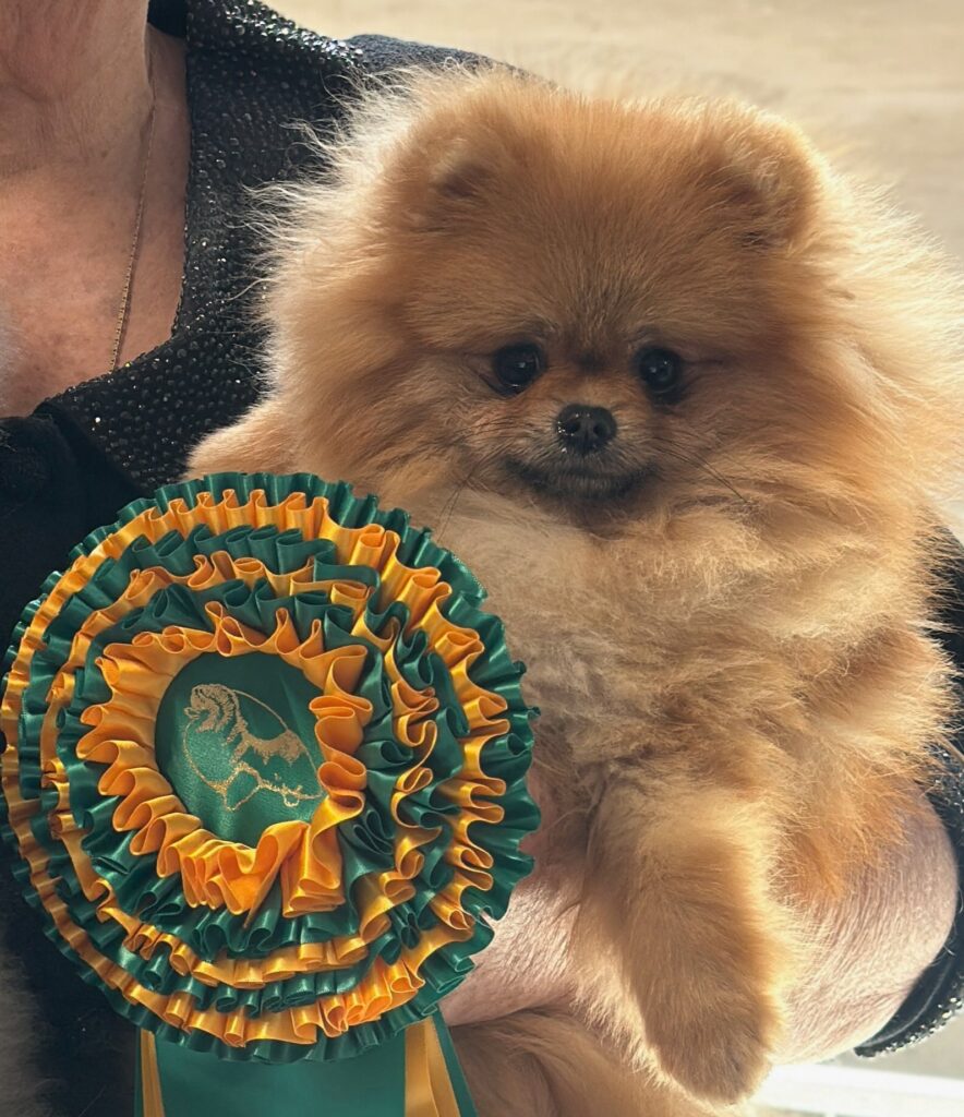 Dochlaggie Dynasty Delilah