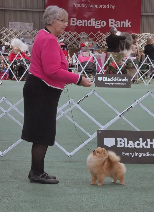 Dochlaggie Dream of Me
