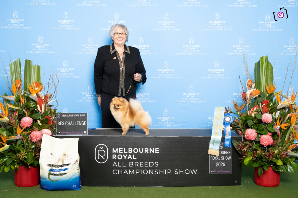 Champion Dochlaggie Dream of Me at the Royal Melbourne Show 2026
