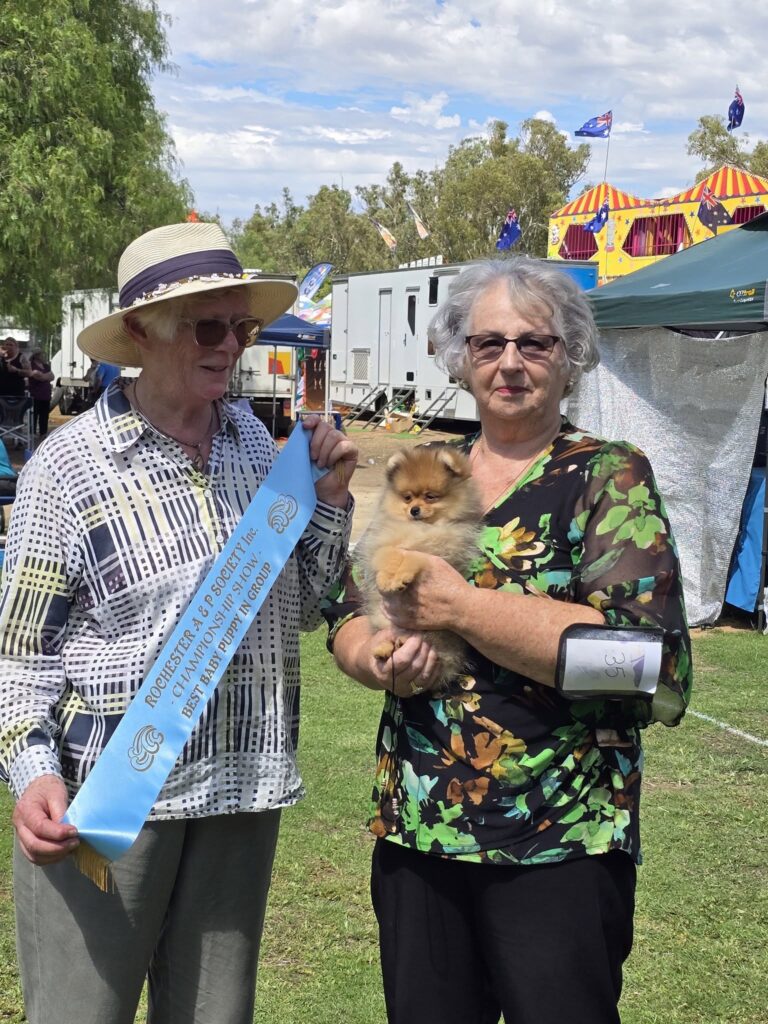 Dochlaggie Dream of Me