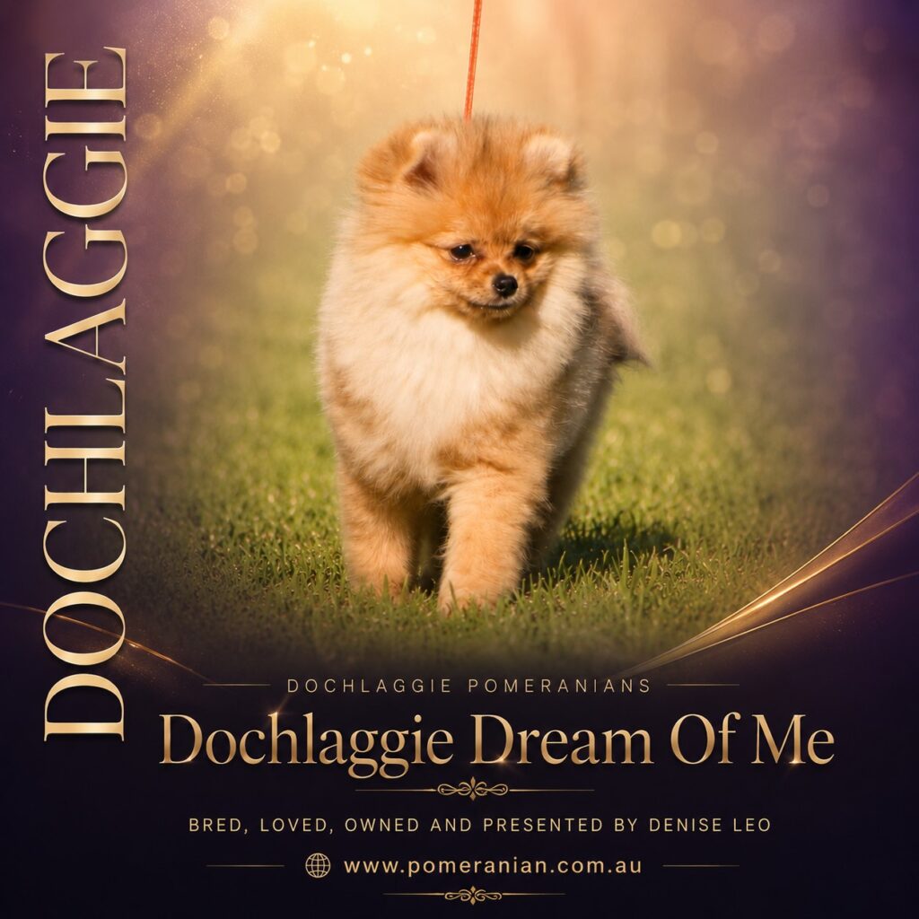 Dochlaggie Dream Of Me