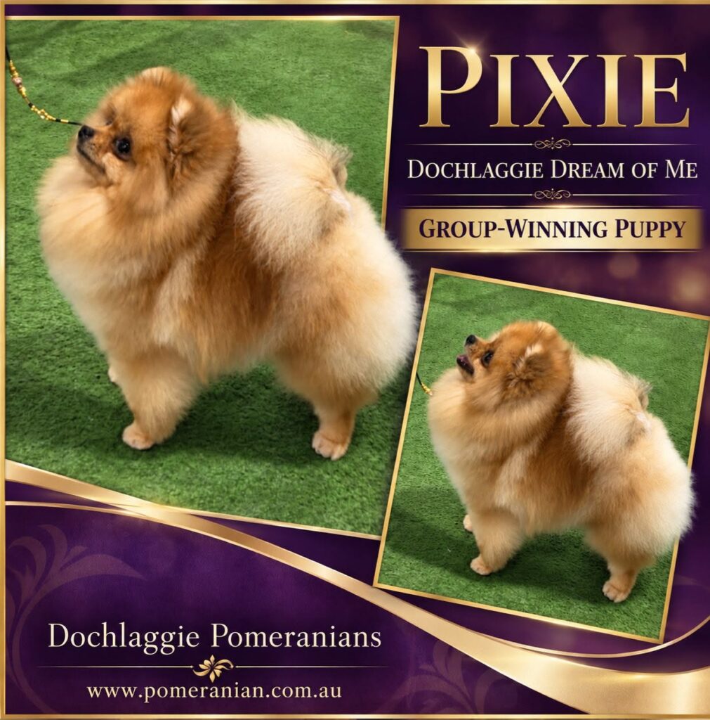 Dochlaggie Dream of Me