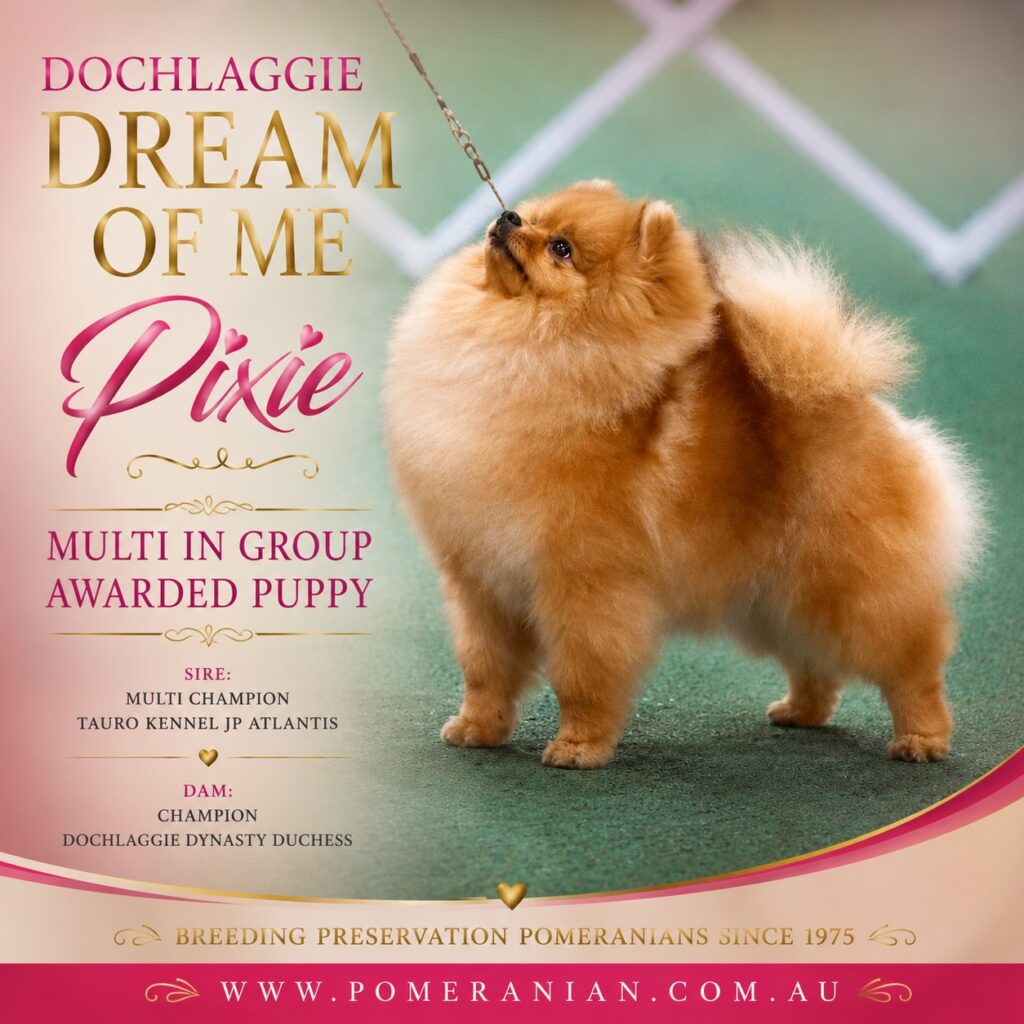 Dochlaggie Dream of Me