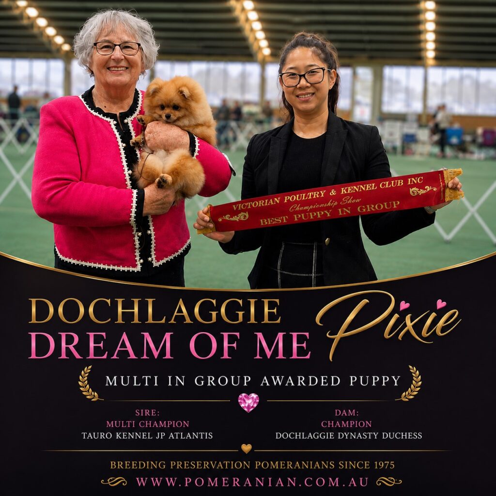 Dochlaggie Dream of Me winning Best Puppy in Group