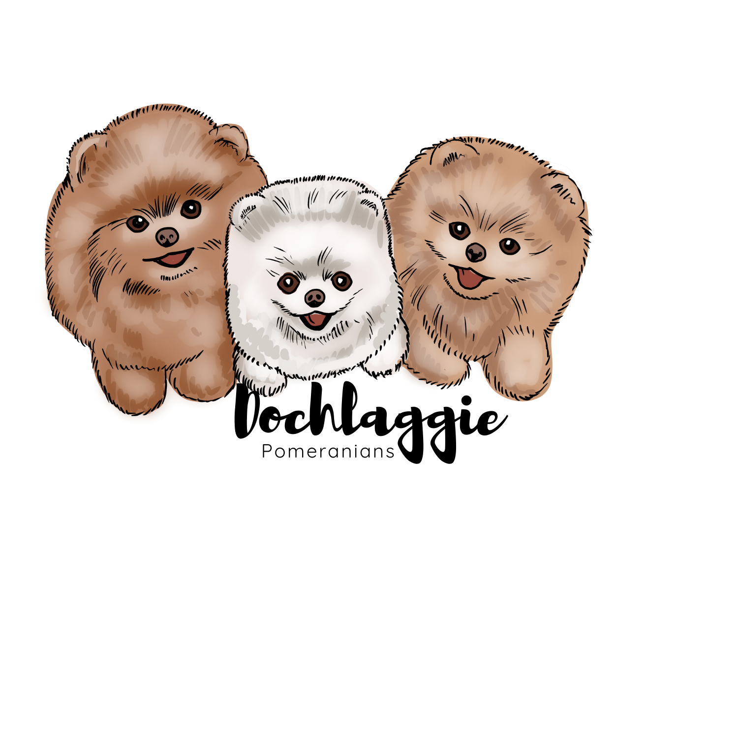 Dochlaggie Pomeranians