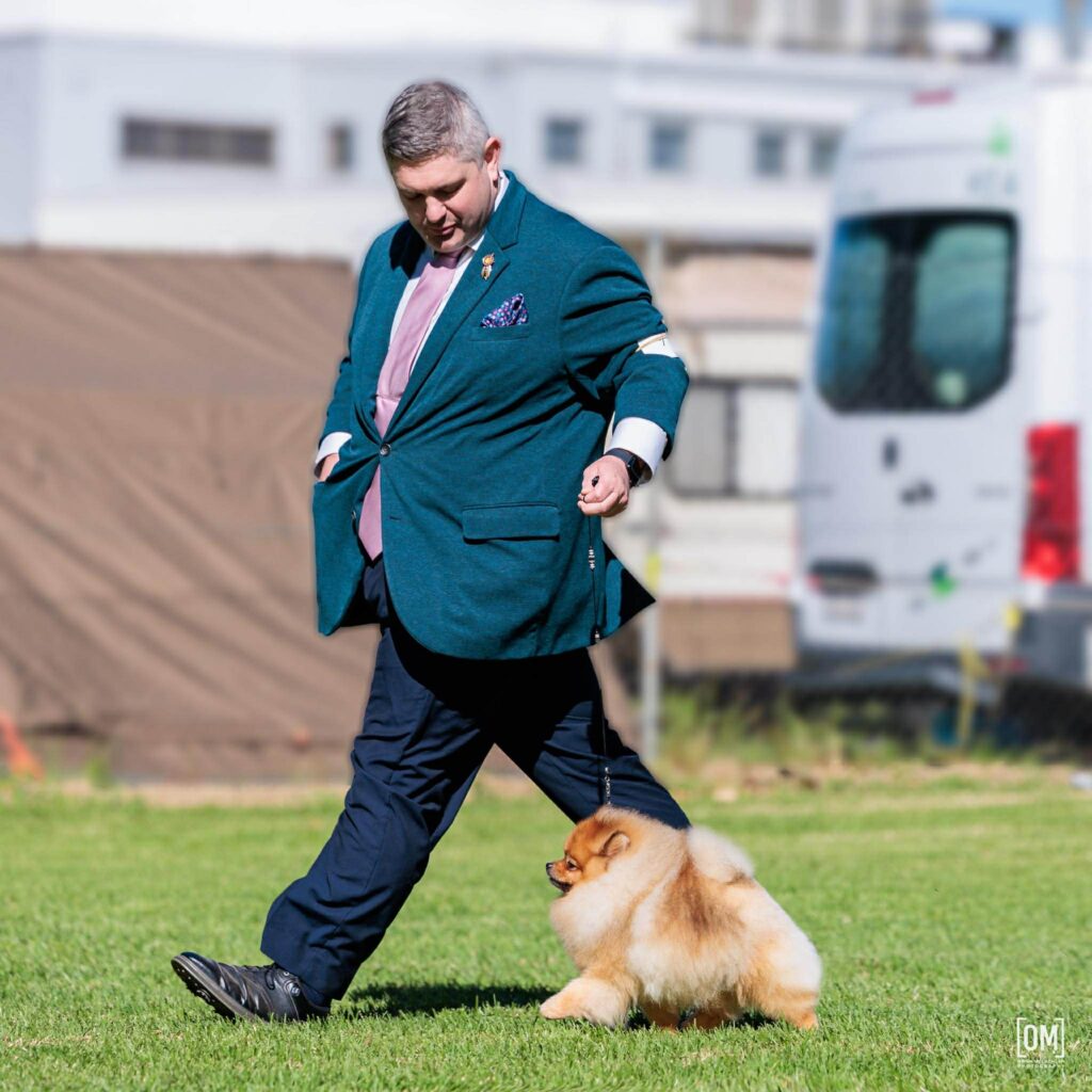Est Jr Ch, Ltu Jr Ch, Ltv Jr Ch Jr Bal Ch, Hu Ch. Ltu Ch, Lva Ch Est Ch Bal Ch Tauro Kennel JP Amor ( Imported Ltu.)