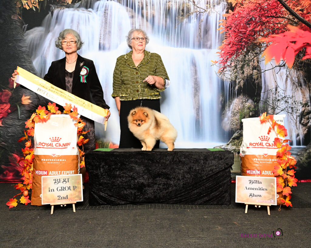 Est Jr Ch, Ltu Jr Ch, Ltv Jr Ch Jr Bal Ch, Hu Ch. Ltu Ch, Lva Ch Est Ch Bal Ch Tauro Kennel JP Amor ( Imported Ltu.)