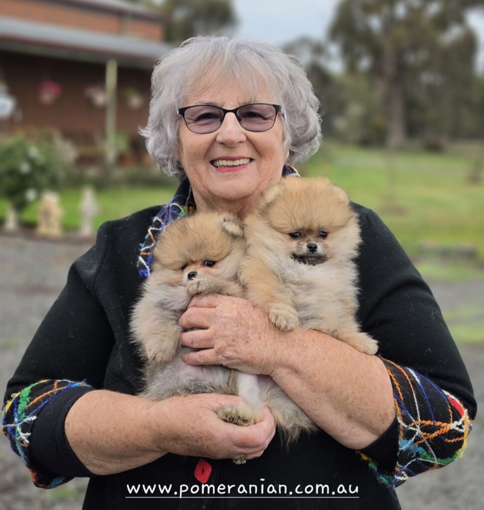 Denise and Dochlaggie puppies
