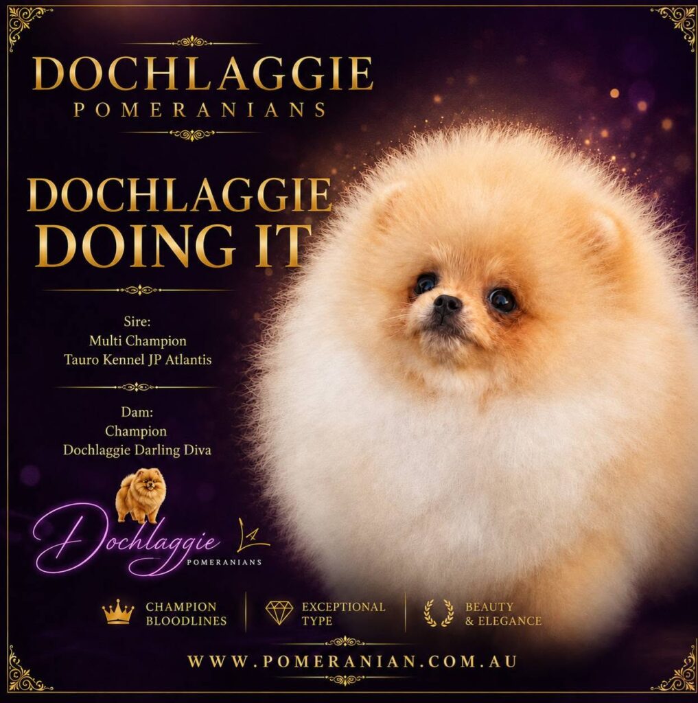 Dochlaggie Doing It- "Butters"