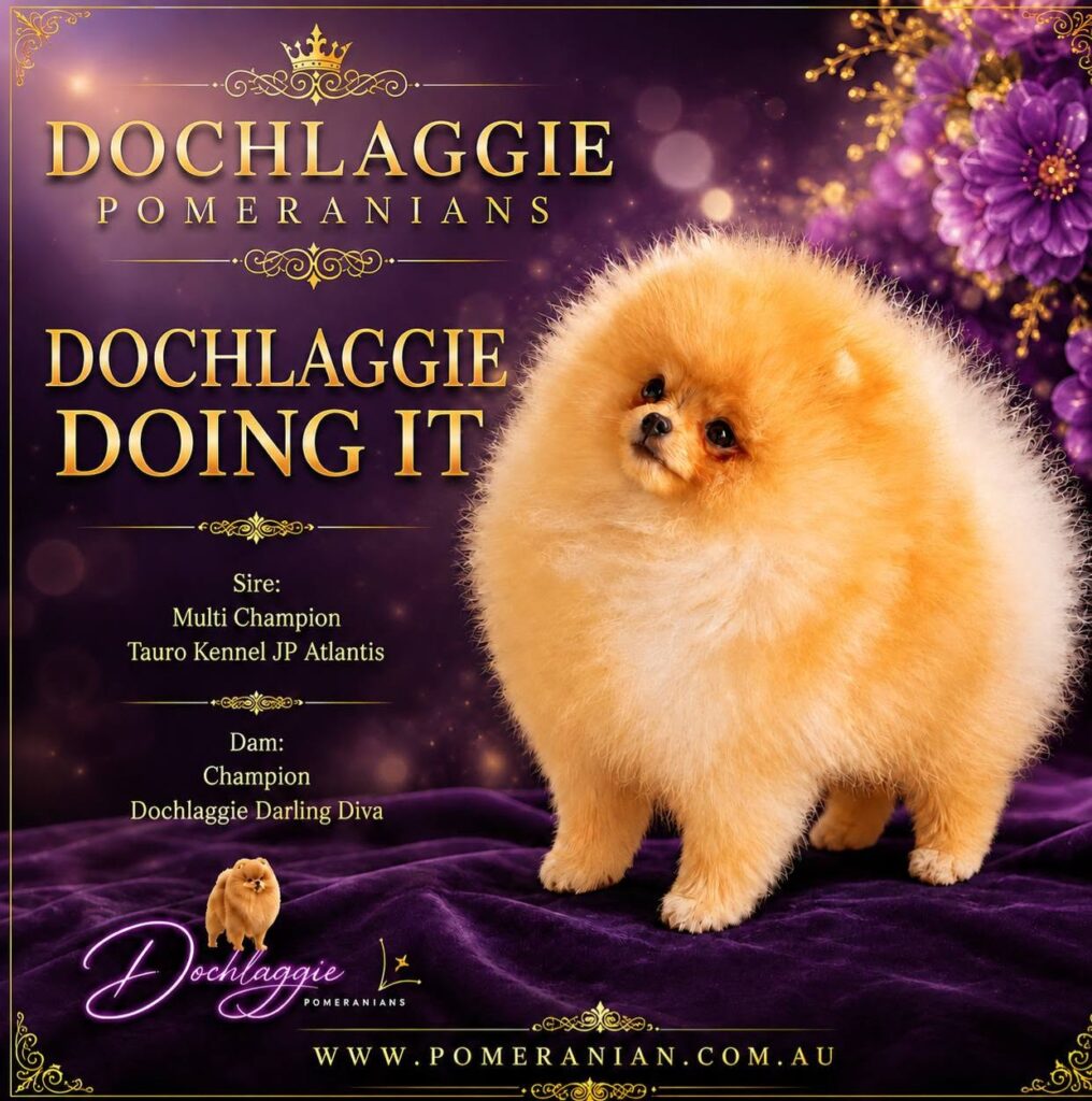 Dochlaggie Doing It- "Butters"