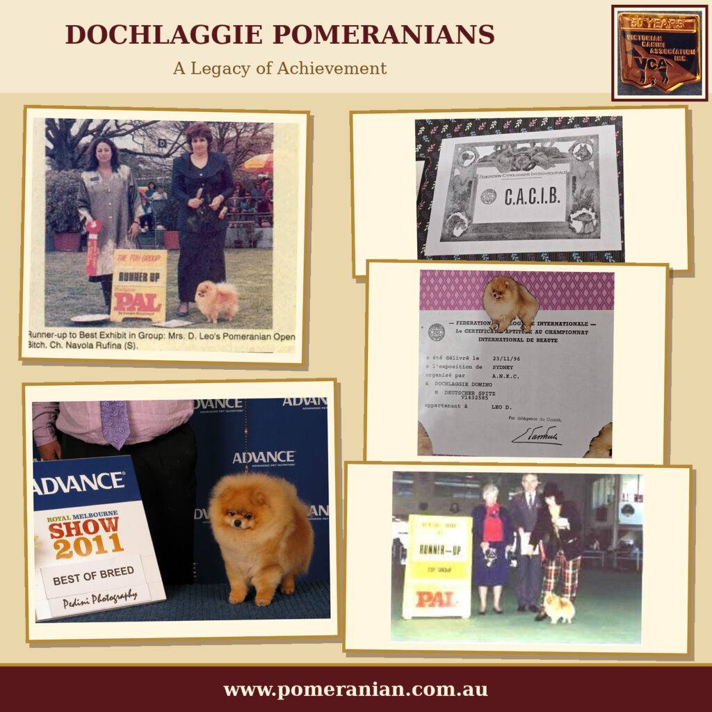 Dochlaggie Pomeranians