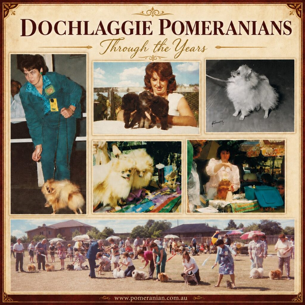 Dochlaggie Pomeranians