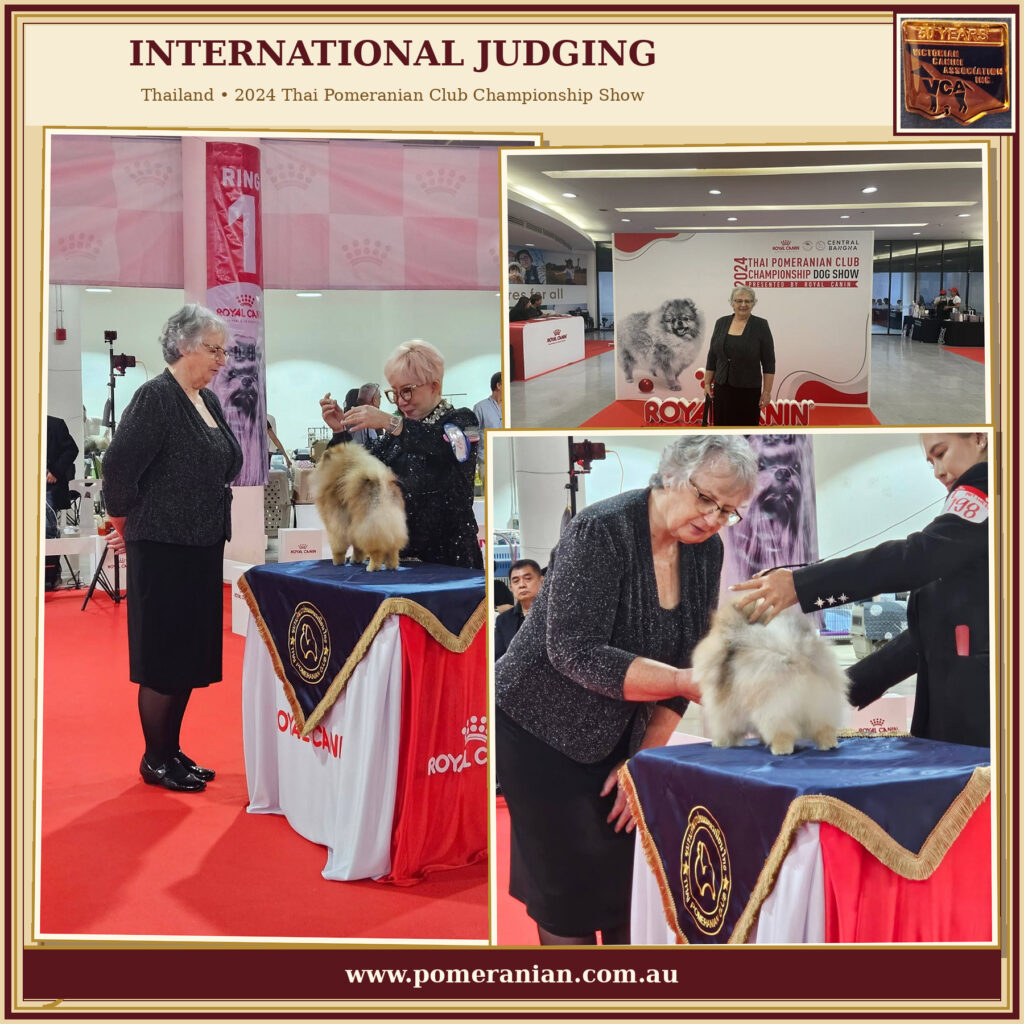 Denise Judging in Thailand