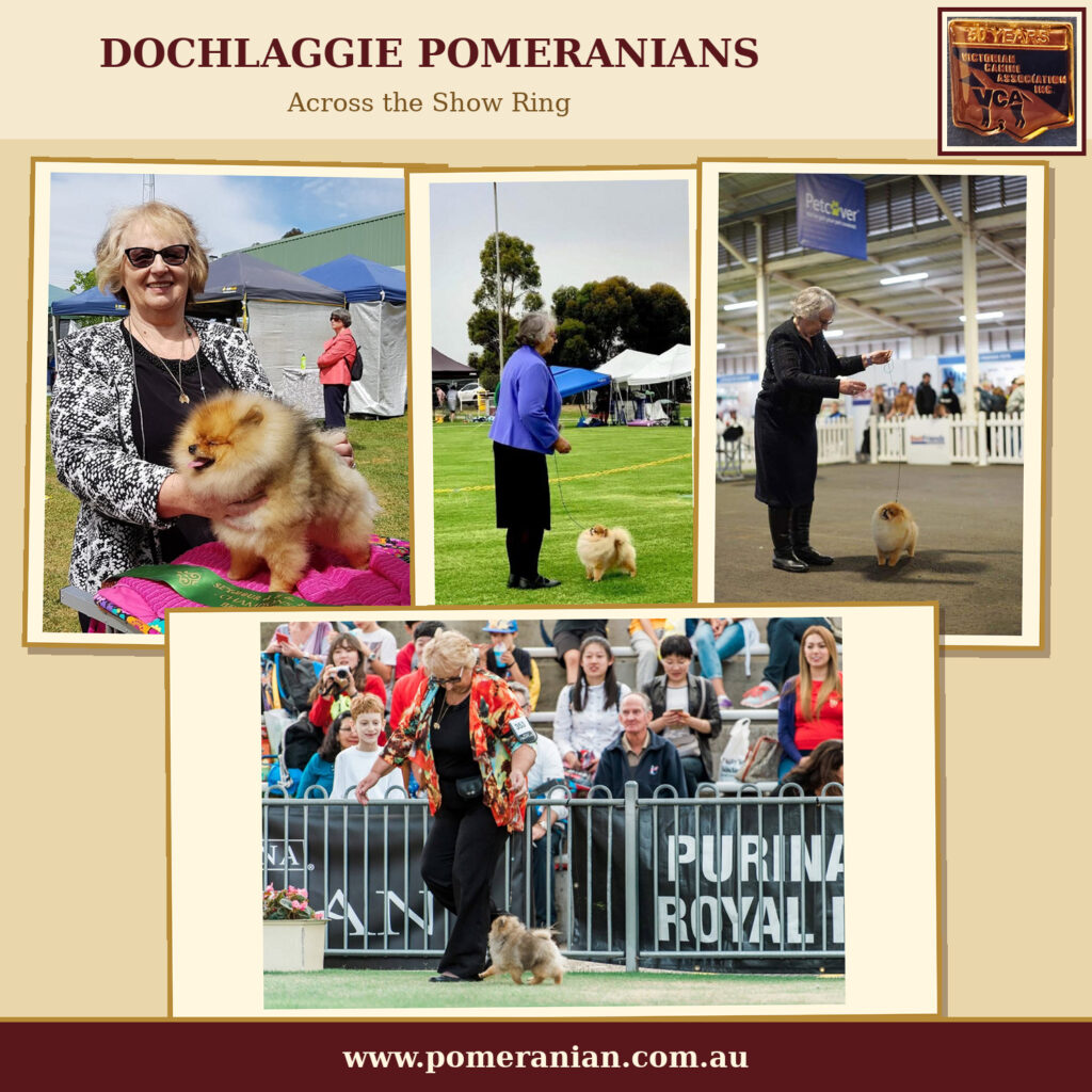 Dochlaggie Pomeranians