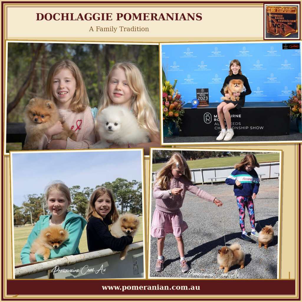 Dochlaggie Family