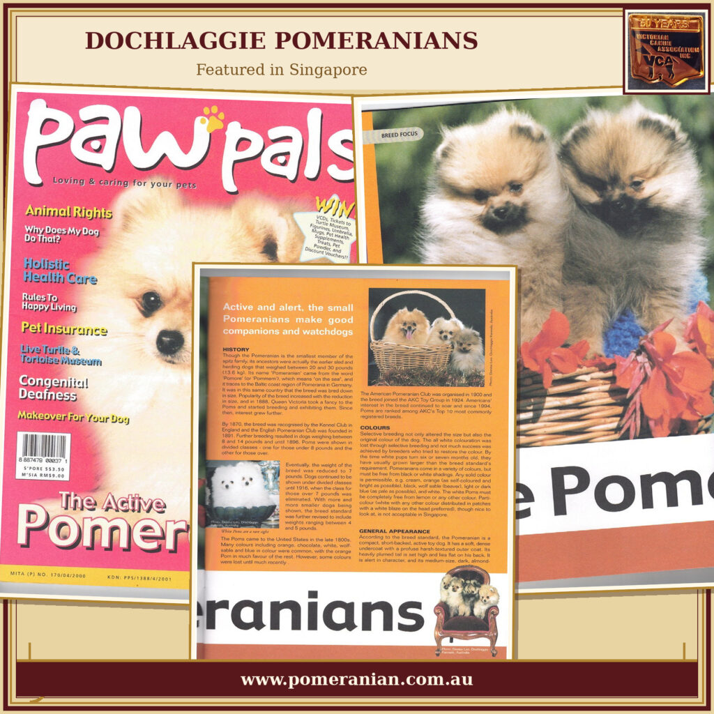 Dochlaggie Featured in Singapore Pet Magazine
