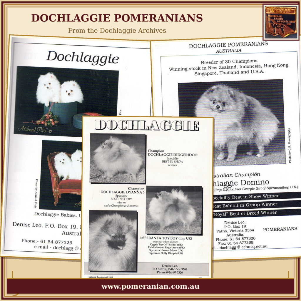 Dochlaggie Pomeranians