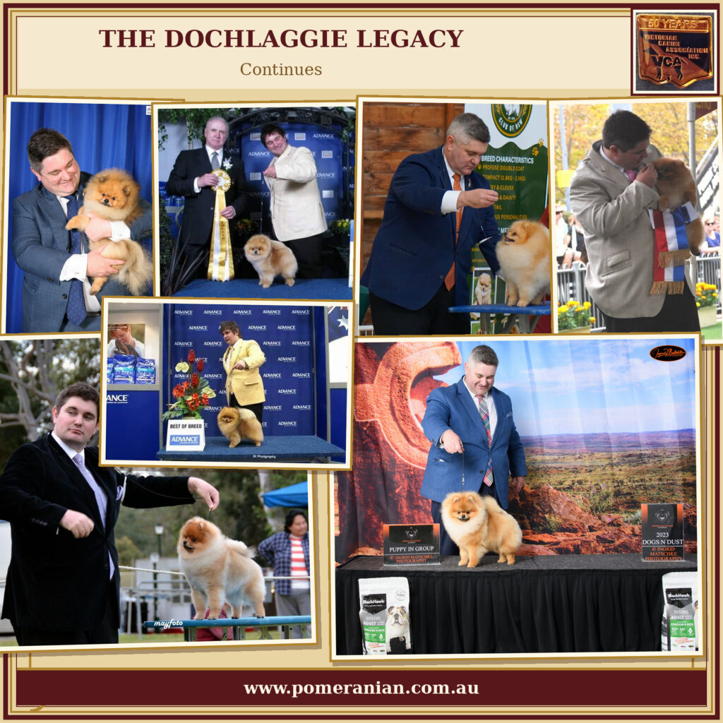 Dochlaggie Legacy 