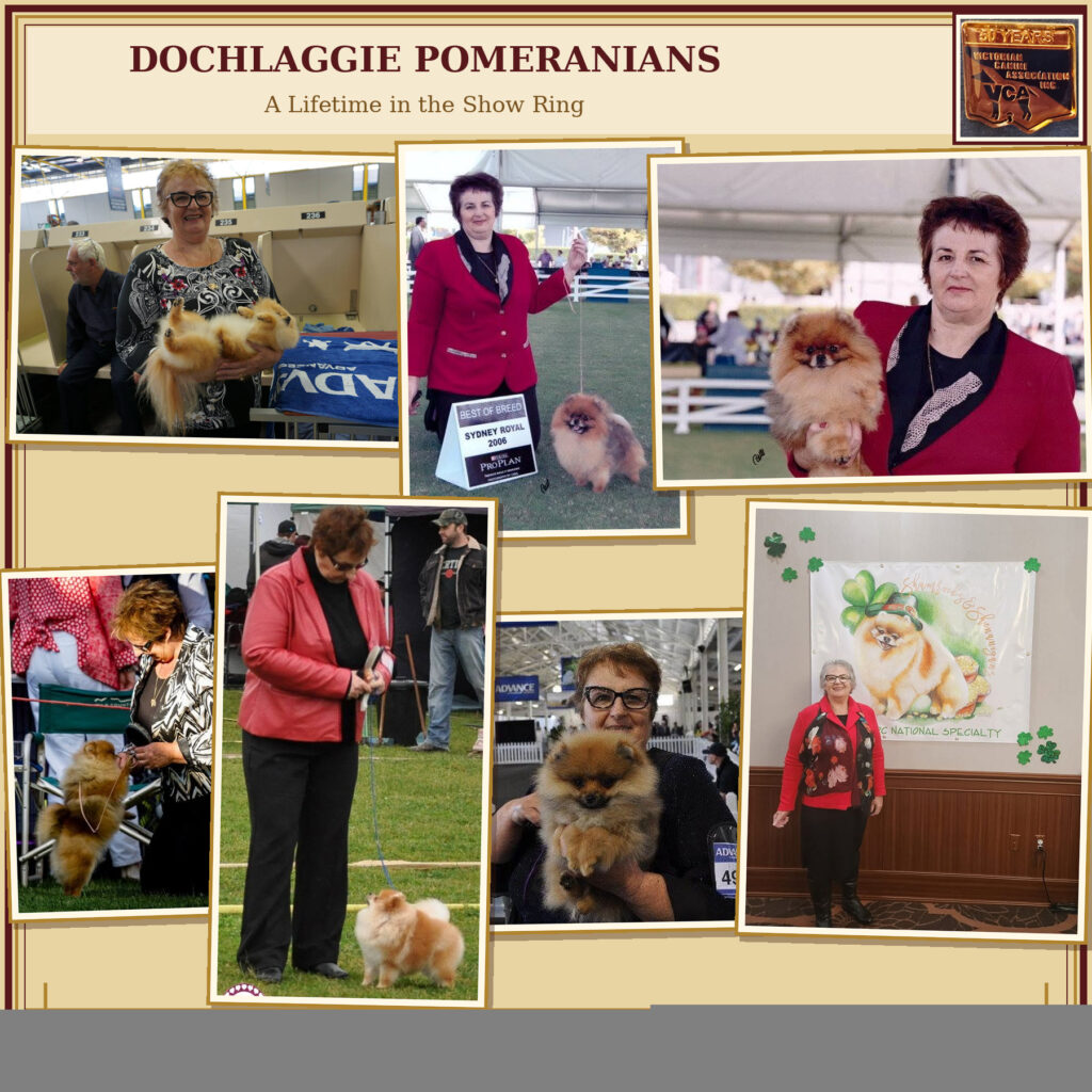 Dochlaggie in the Show Ring