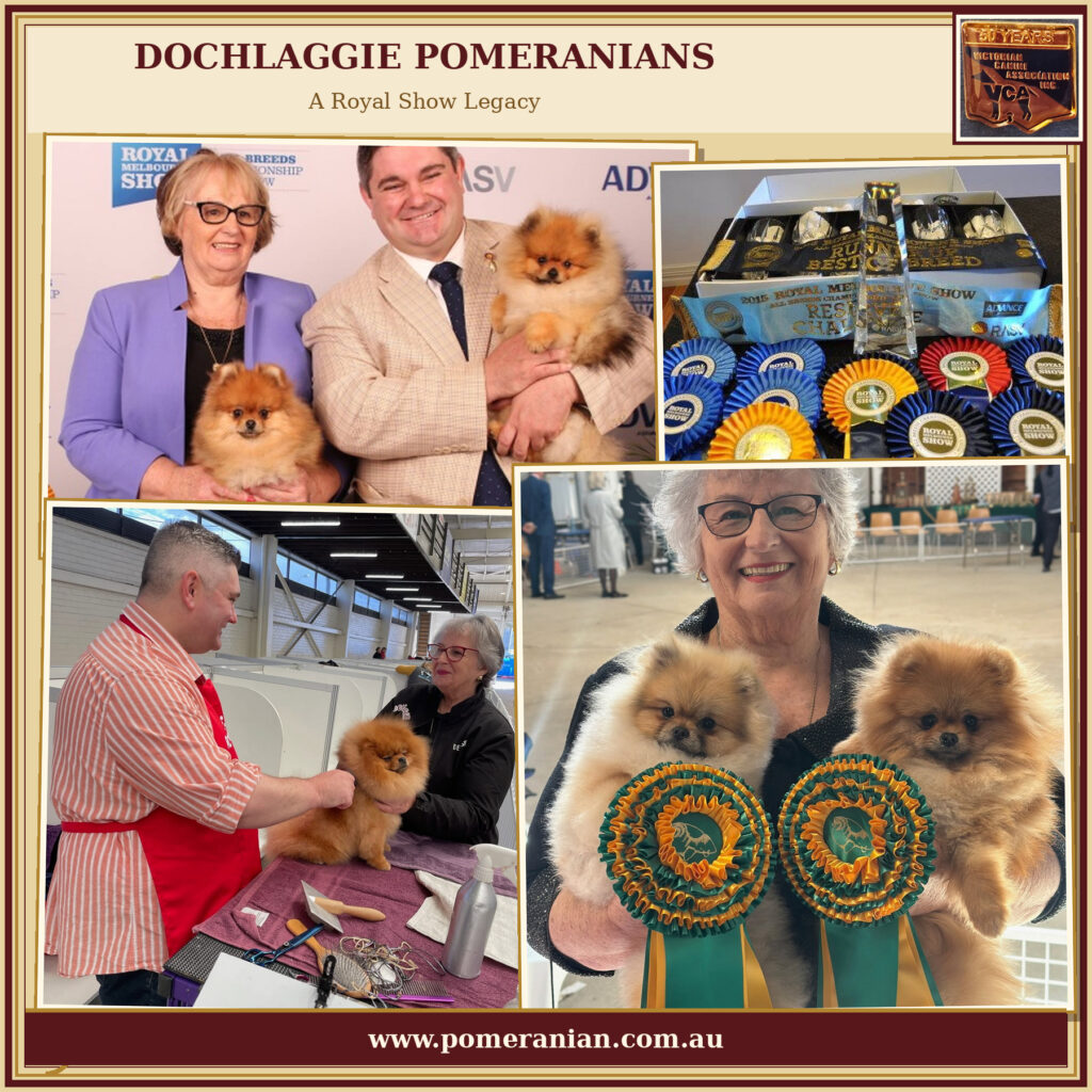 Dochlaggie Pomeranians
