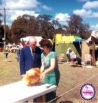 BISA Australian Champion Dochlaggie Decisive 