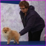 Australian Champion Dochlaggie Dancin Tina 
