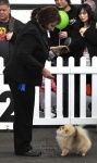 Izzy winning her Bitch Challenge at the Royal Melbourne Show.