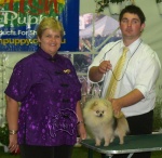 Champion Dochlaggie Dizzy Izzy pictured here with Judge Yvonne Meintjes after winning Puppy in Show at the Pomeranian Club Show.
