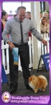Champion Dochlaggie Done Deal pictured winning Reserve Challenge Dog and r/u Best of Breed at Royal Melbourne Show 2013