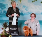 Canadian Champion Shallany’s Rebel With a Cause ( imported Canada )