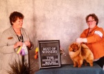 Canadian Champion Shallany’s Rebel With a Cause ( imported Canada )