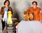 Canadian Champion Shallany’s Rebel With a Cause ( imported Canada )
