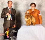Canadian Champion Shallany’s Rebel With a Cause ( imported Canada )