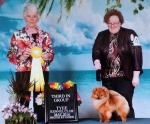 Canadian Champion Shallany’s Rebel With a Cause ( imported Canada )