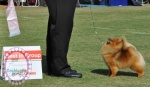 arebelbestinsgroupvicw.jpg