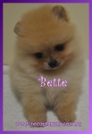 Bette.jpg