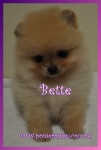 bette2.jpg
