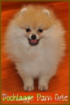 Dochlaggie Darn Cute