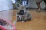 IMG_4284.JPG