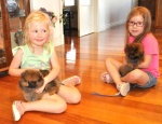 agirlsandpups.jpg