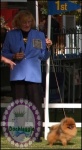 Australian Multi BISA, BISS Supreme Champion Dochlaggie Desoto winning Best of Breed at Sydney Royal Show